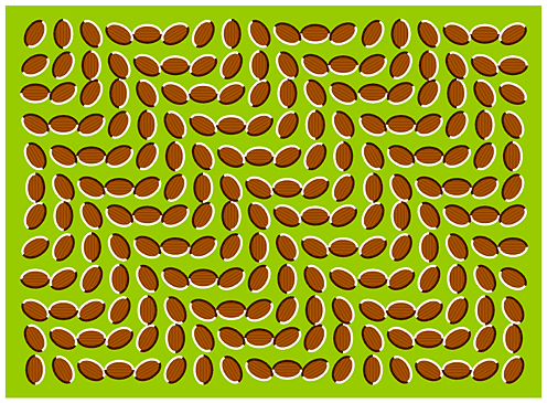ILLUSION