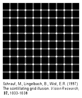 illusion