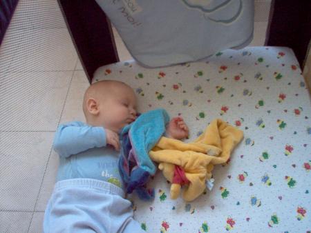noah